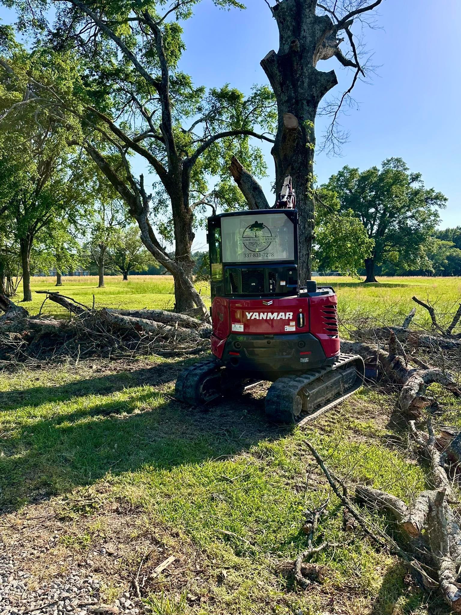 Red tractor mowing grass beside a tree in a sunny park or field