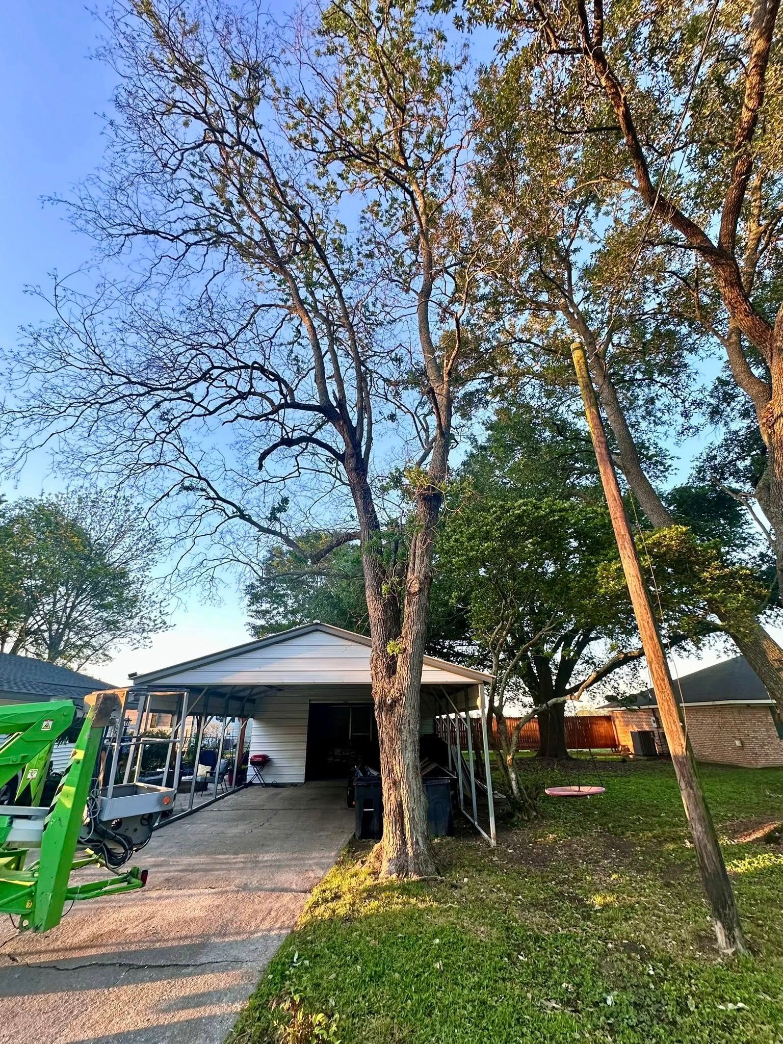 Tree-lined yard with a house, driveway, and green playground equipment in the foreground.