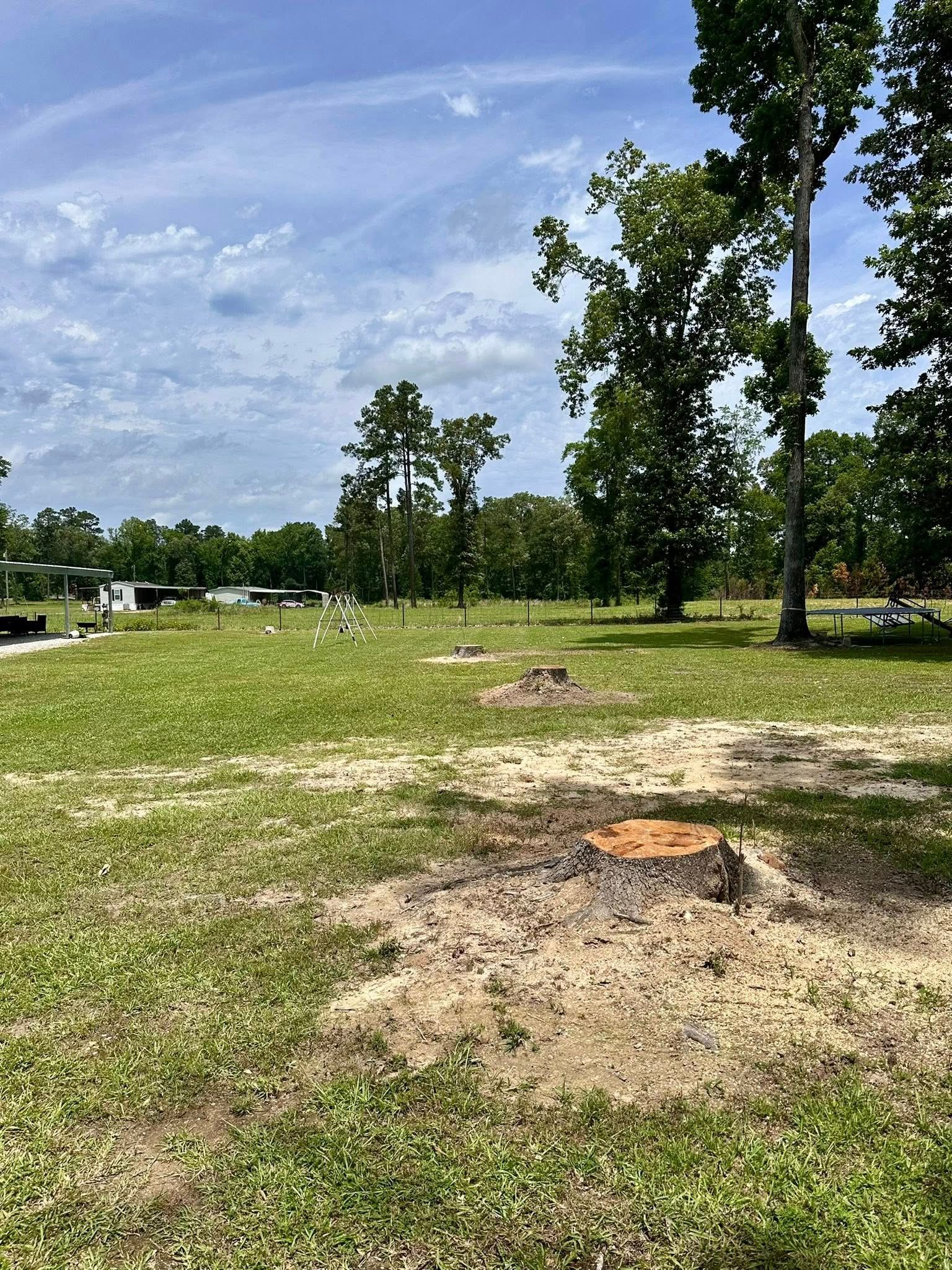 Grassy park with scattered trees and a small dirt mound under a blue sky.