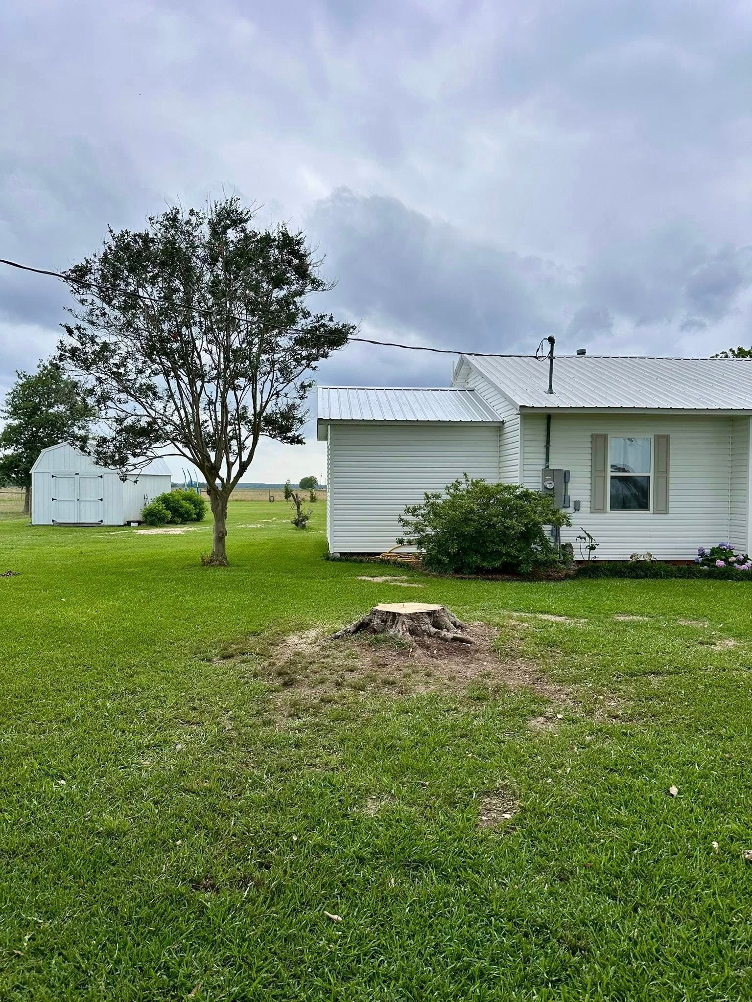 Small white house with a tree and lawn under a cloudy sky.