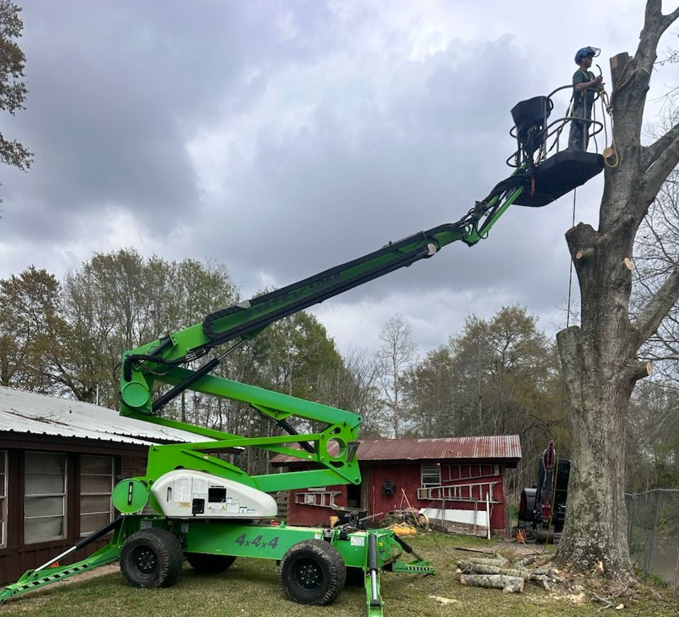 Green boom lift with worker pruning a tall tree beside a house and red shed under cloudy skies