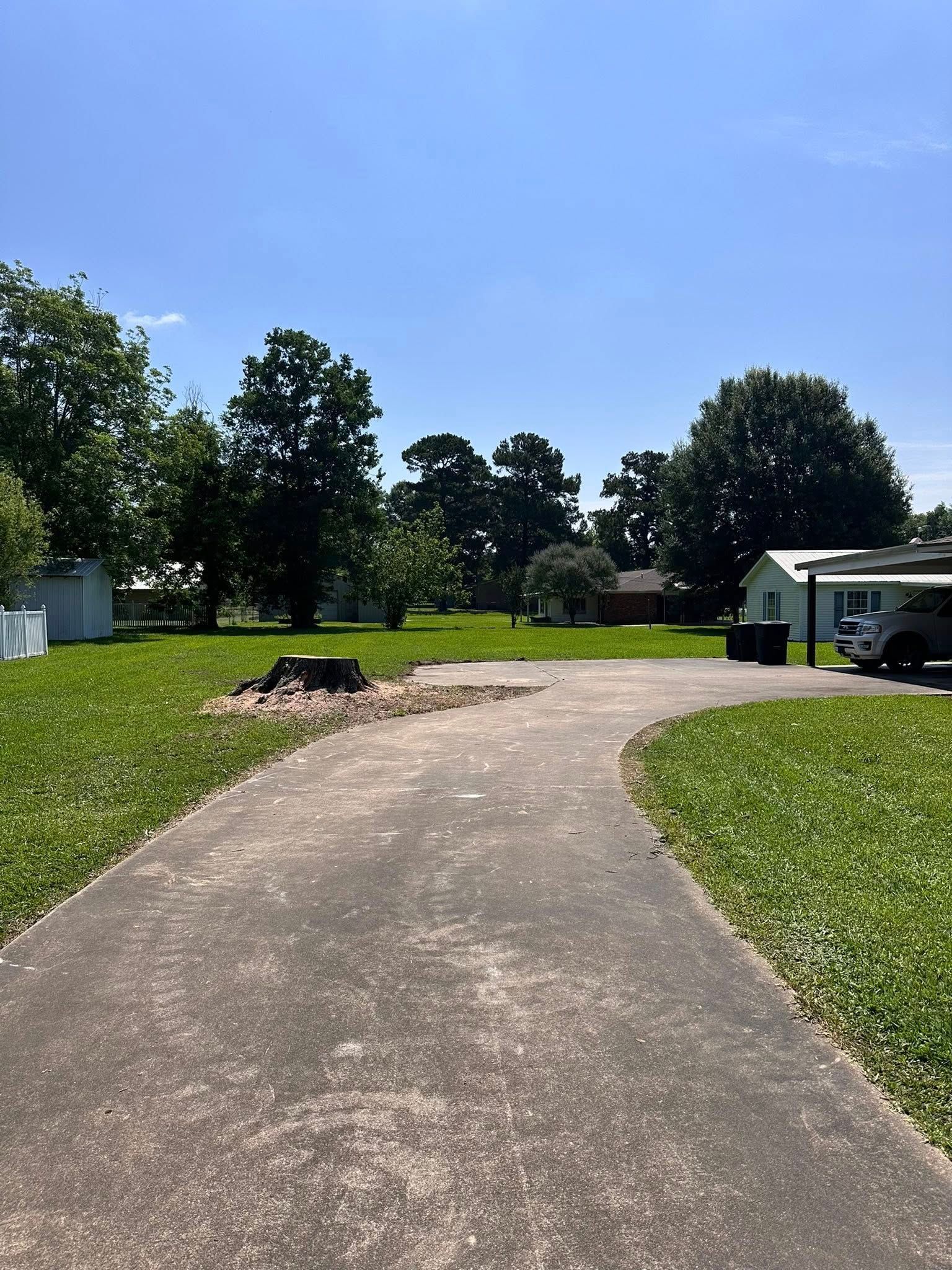 Curved concrete driveway leading past grassy yard and trees to a small shed or garage on a sunny day