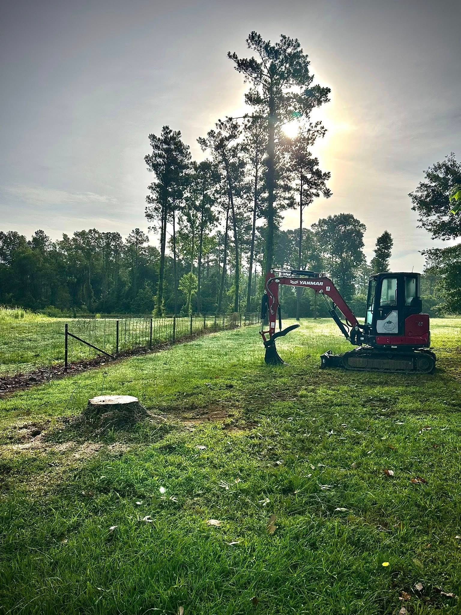 Small excavator in a grassy field beside tall trees at sunrise.