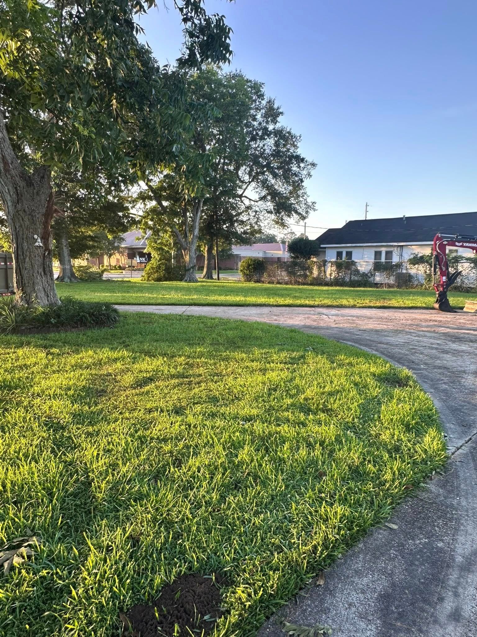 Sunlit park lawn and curving path at sunset with trees and houses in the background