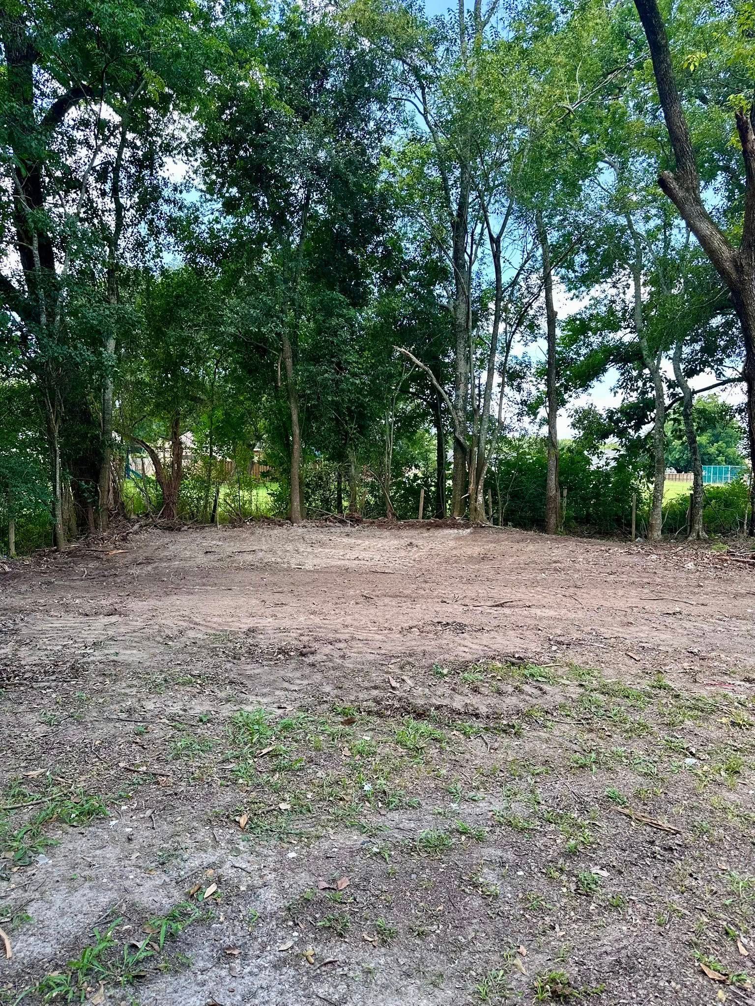 Cleared dirt area surrounded by tall green trees in a wooded park-like setting