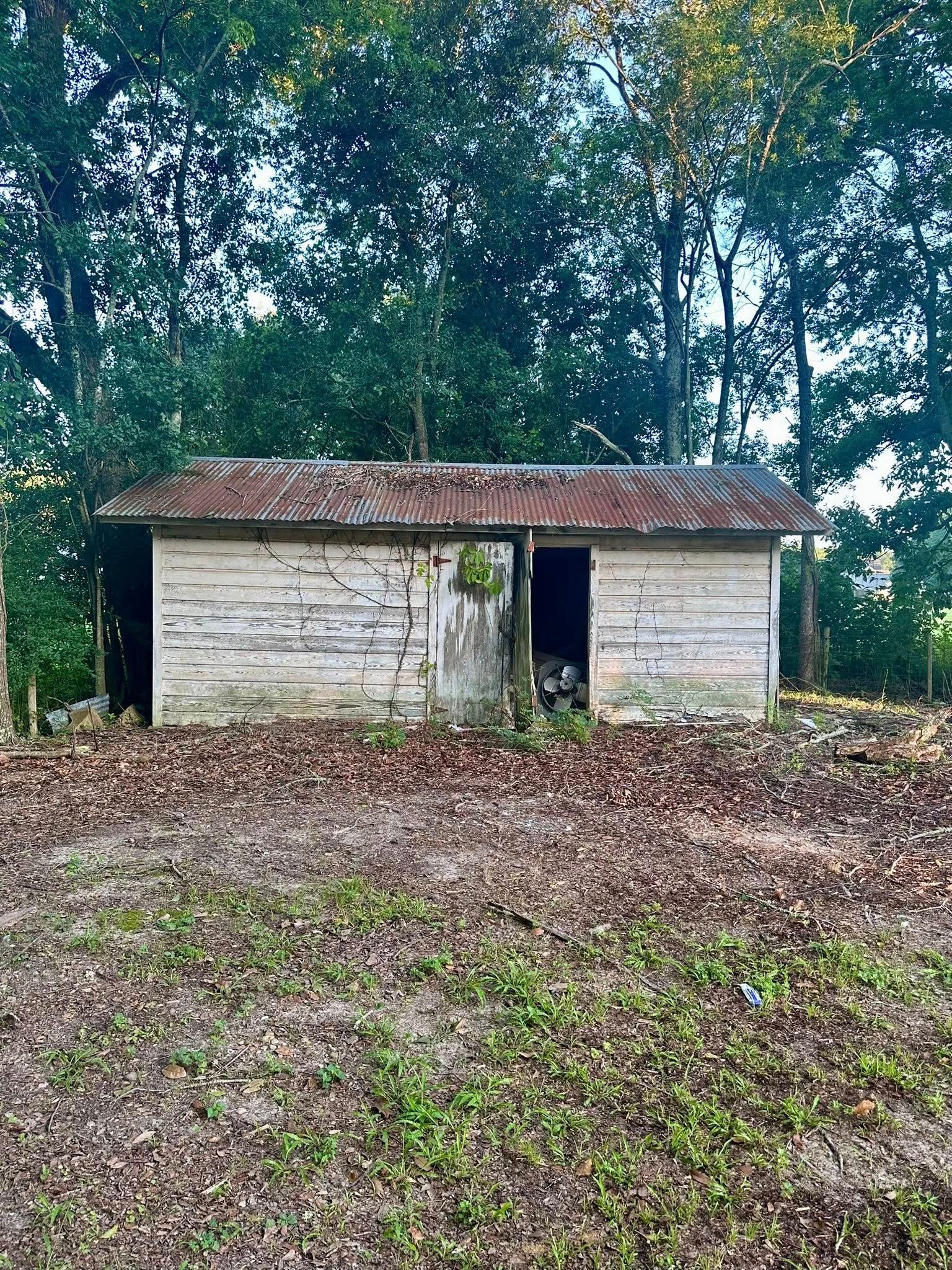 Old small white shed with a rusted roof in a wooded clearing, covered by fallen leaves.