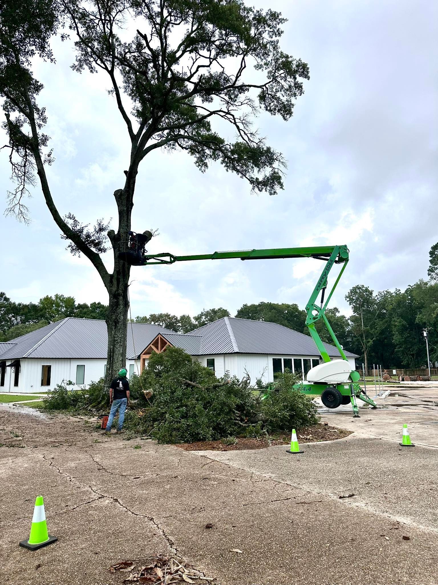 Tree trimming crew using a green boom lift beside white houses on a gravel lot