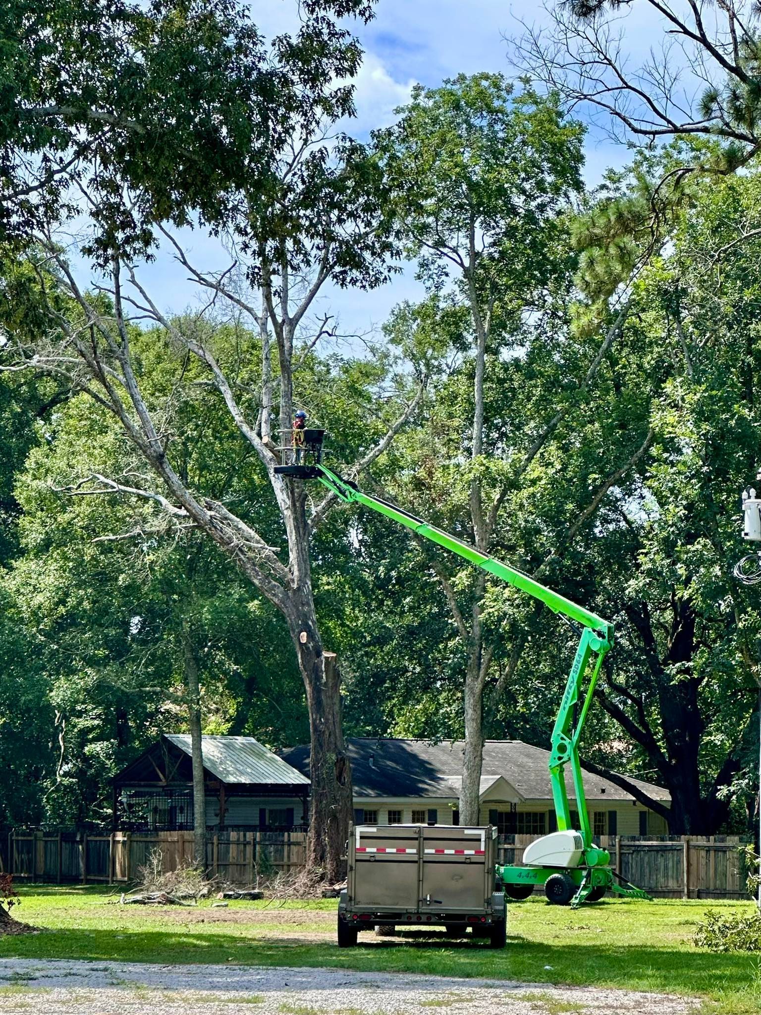 Bright green tree-pruning lift truck raising a worker basket beside tall trees in a wooded yard