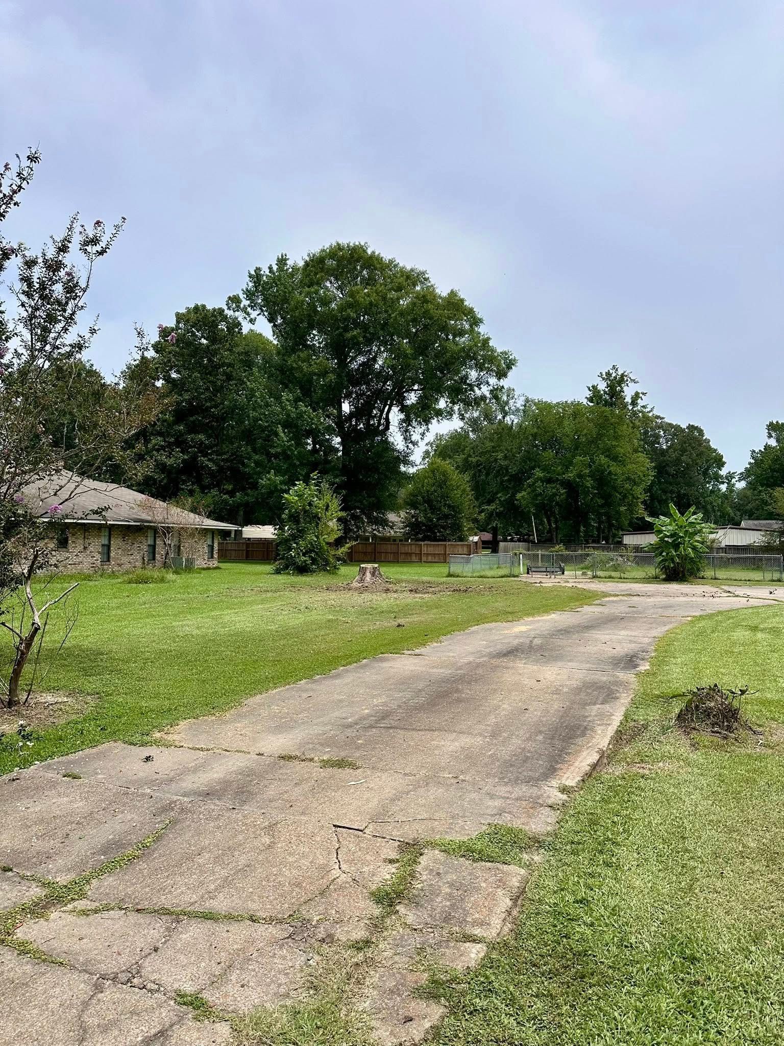 Cracked concrete road leading through a grassy yard with trees and a small house on the left