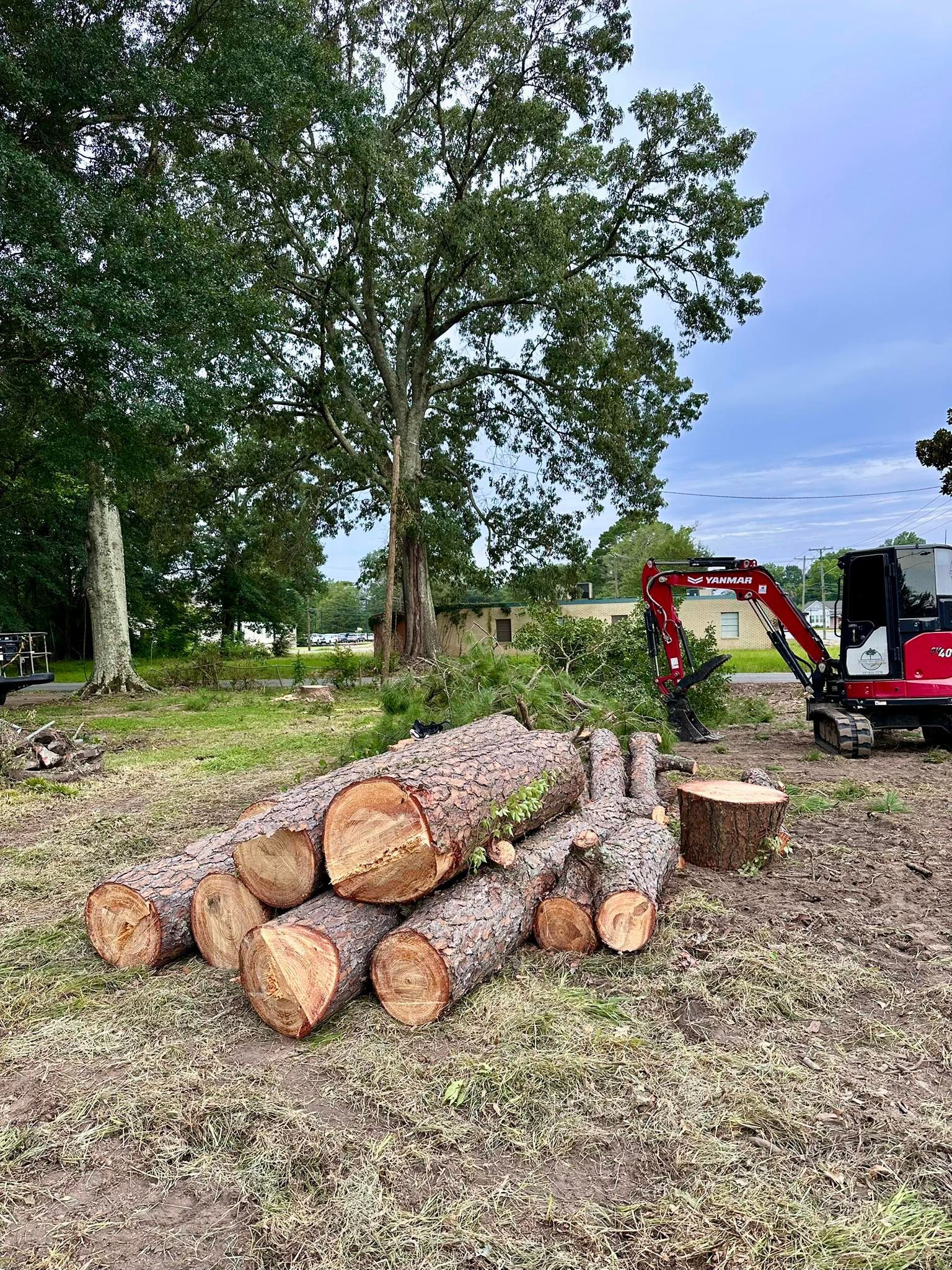Stacked cut logs beside a red wood chipper in a leafy yard under cloudy sky