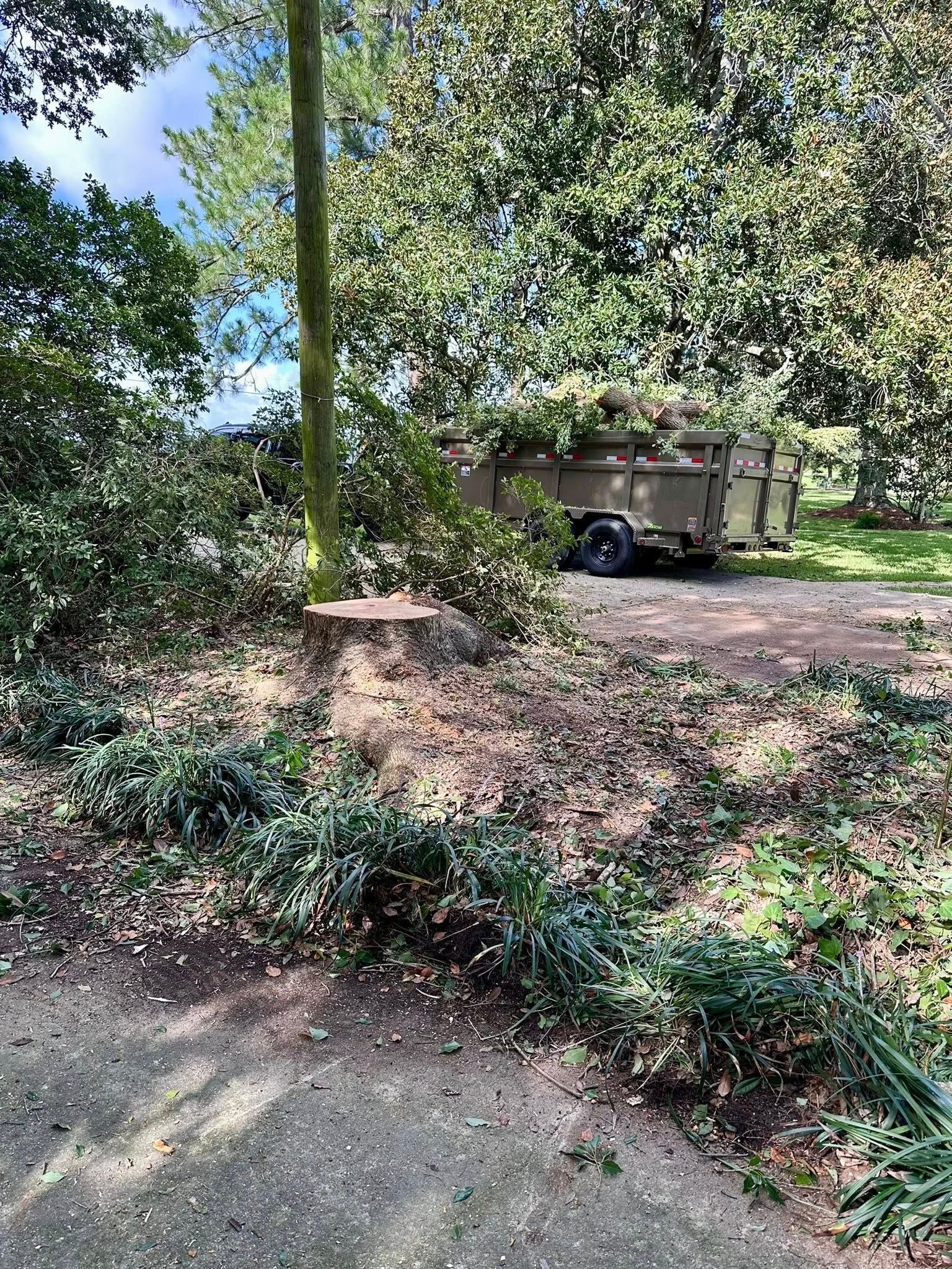 Leafy yard with large trees, a trailer, and a dirt path beside a garden bed.