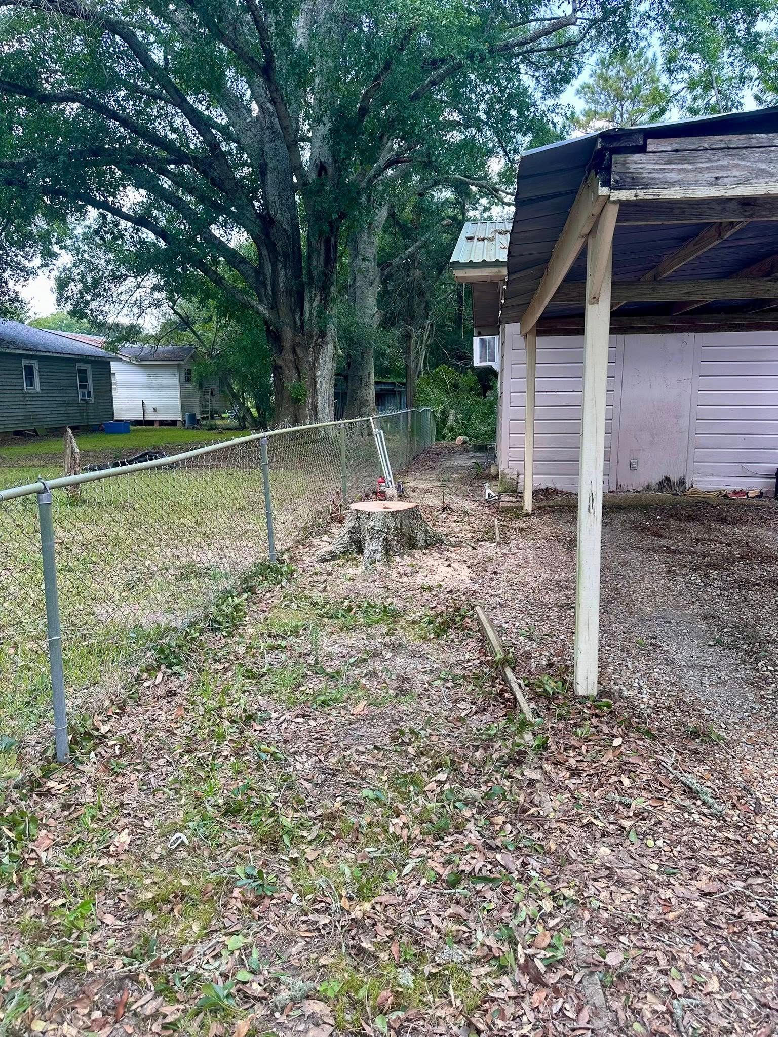 Overgrown backyard beside a house, with a tree, gravel path, and porch post.