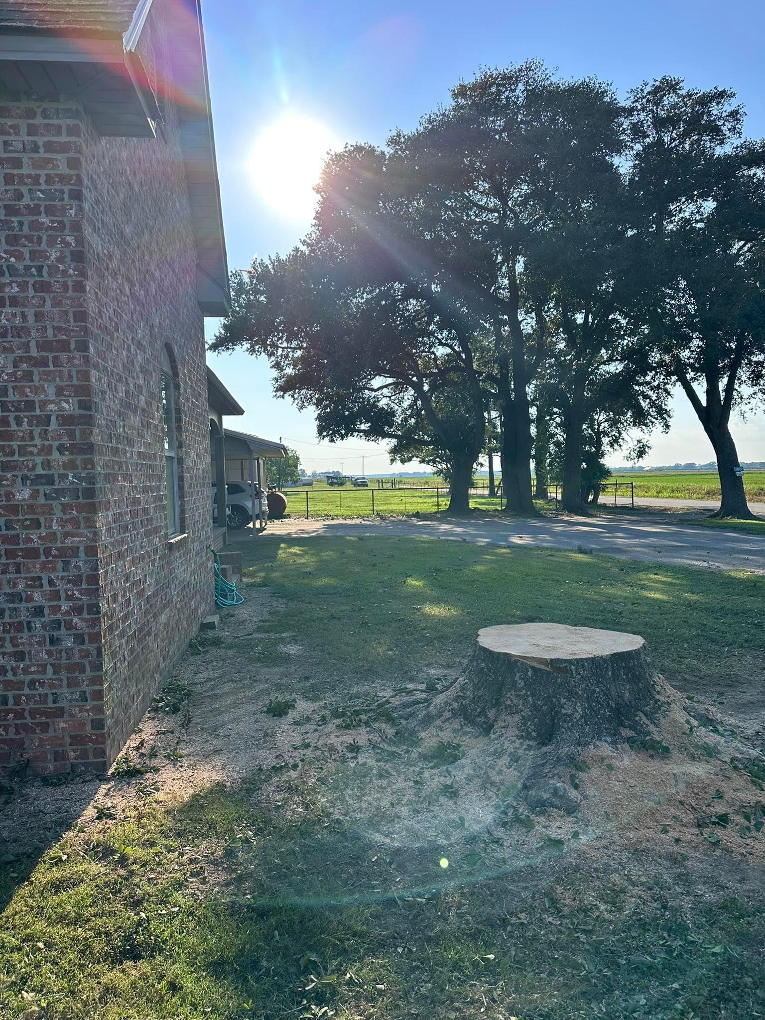 Sunlit yard beside a brick building, with a large tree, stump, and grassy ground by open fields