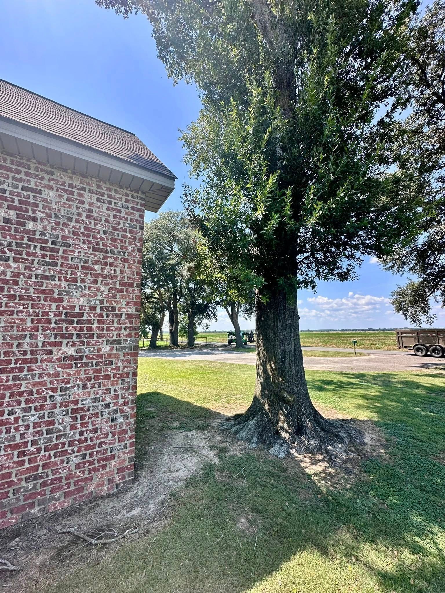 Brick building beside a large tree in a sunny park with grass and a picnic table near the water.
