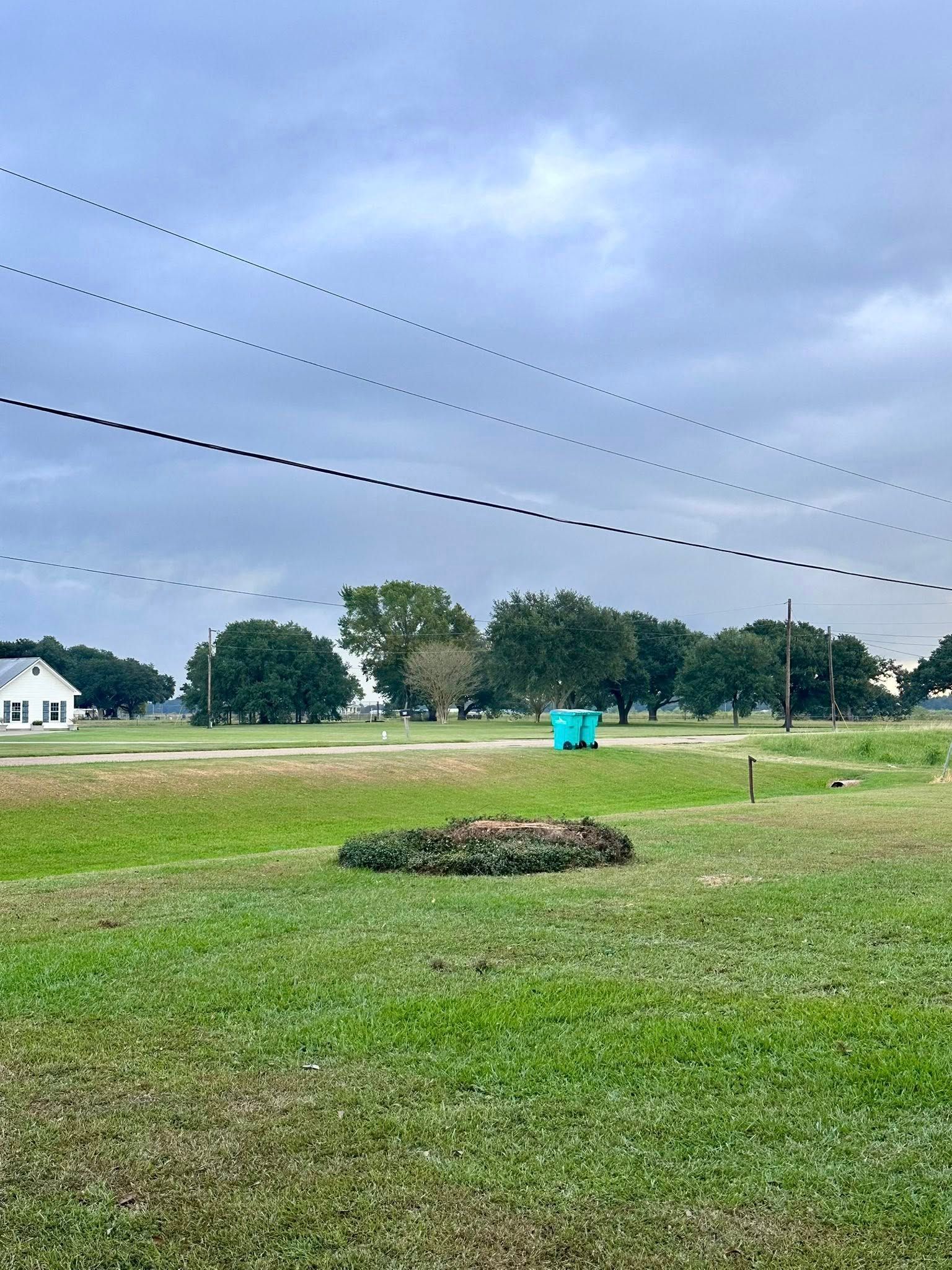 Grassy field under cloudy sky with trees, power lines, and a small blue portable toilet in the distance
