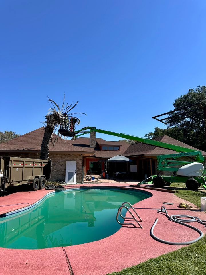 Backyard swimming pool with red deck, green hose, and fallen tree debris under a clear blue sky
