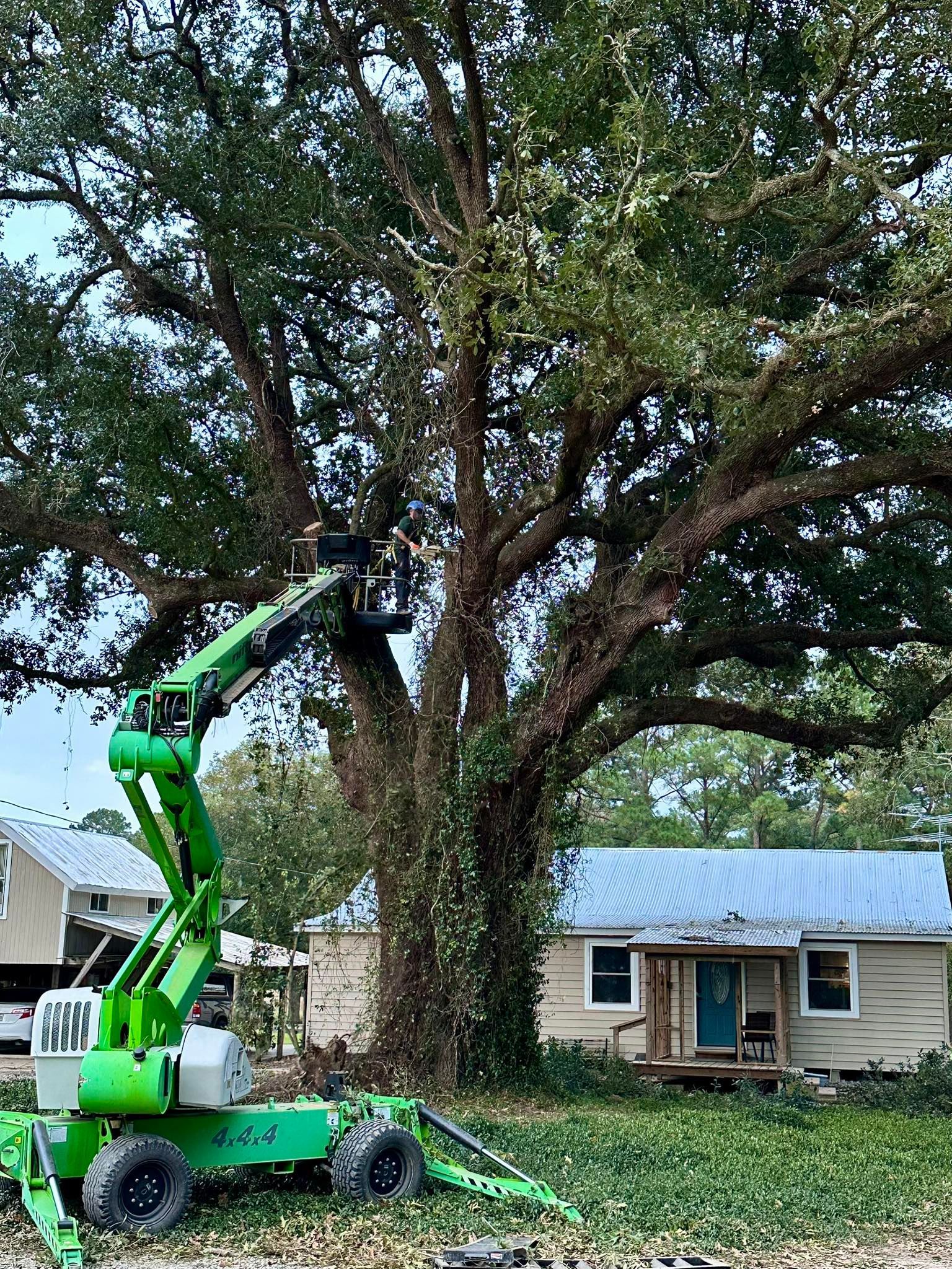 Green aerial lift trimming a large tree beside a house, with branches and leaves on the ground.