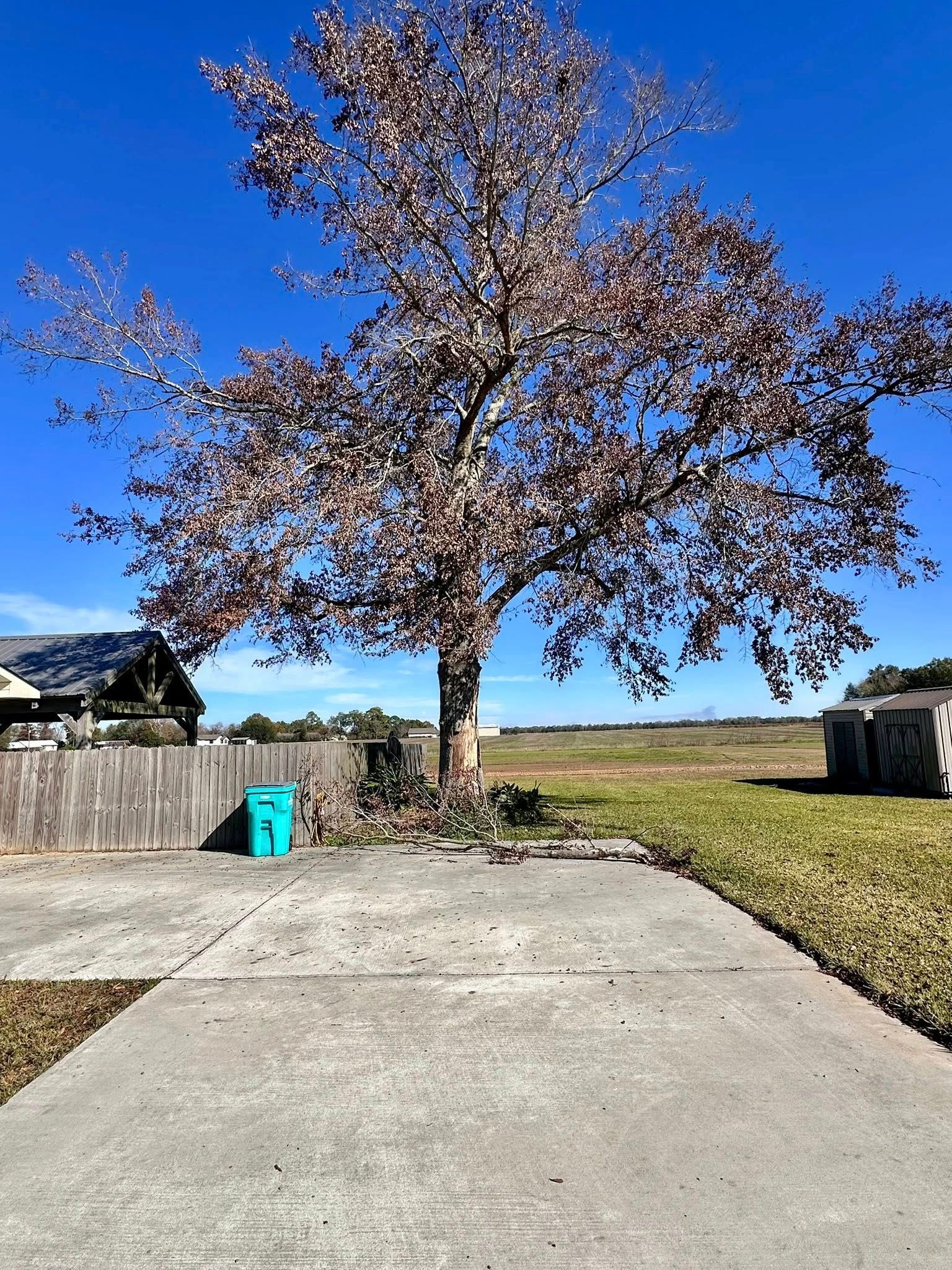 Driveway leading to a leafless tree, wooden fence, and open grassy field under a clear blue sky.