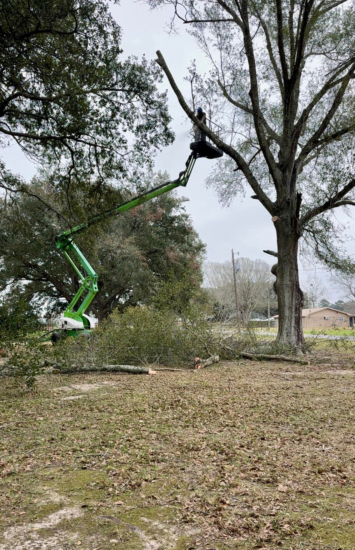 Green cherry picker lifting branches from a tree in a leaf-covered yard