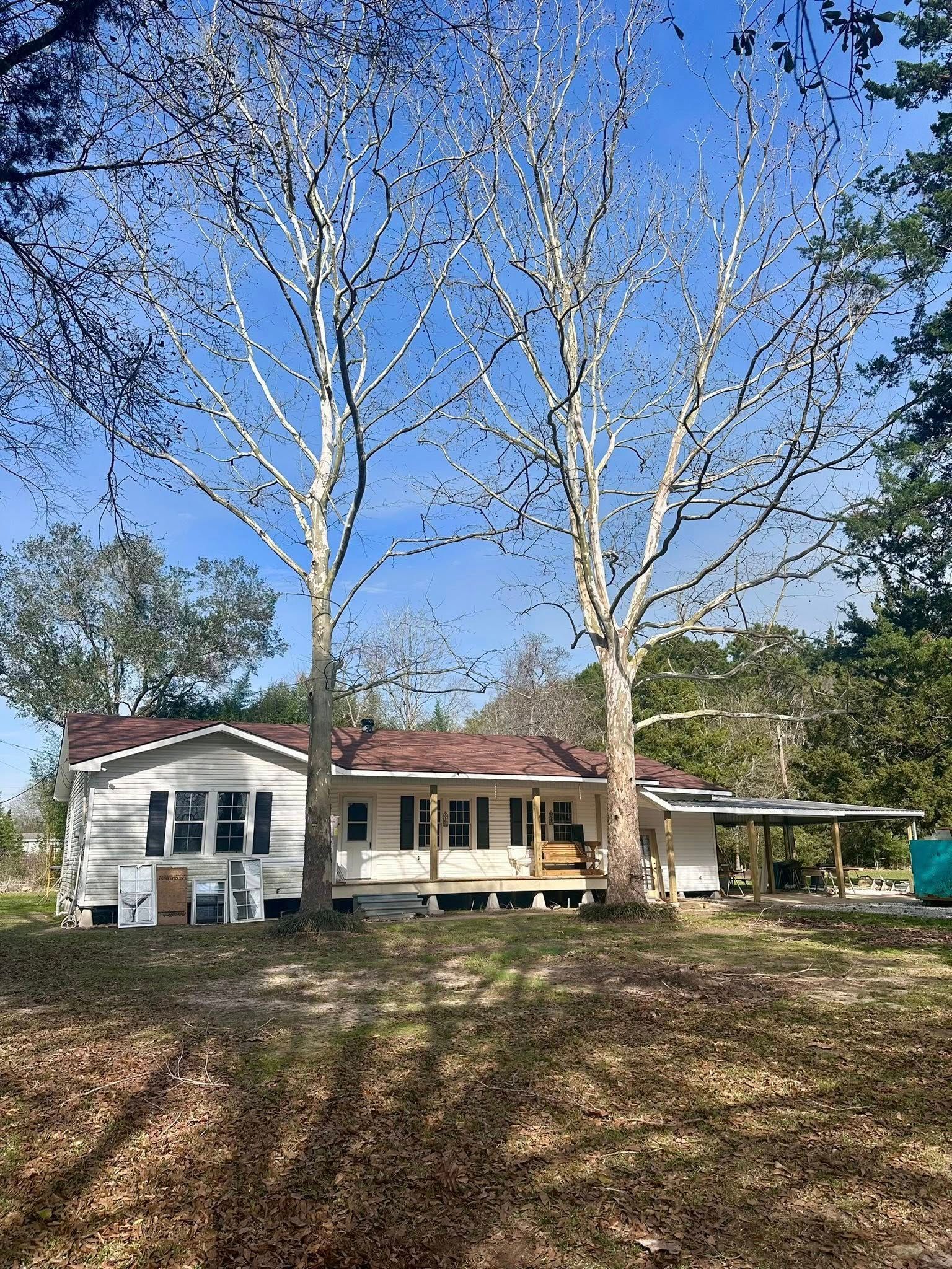 House with red roof behind tall leafless trees on a sunny day