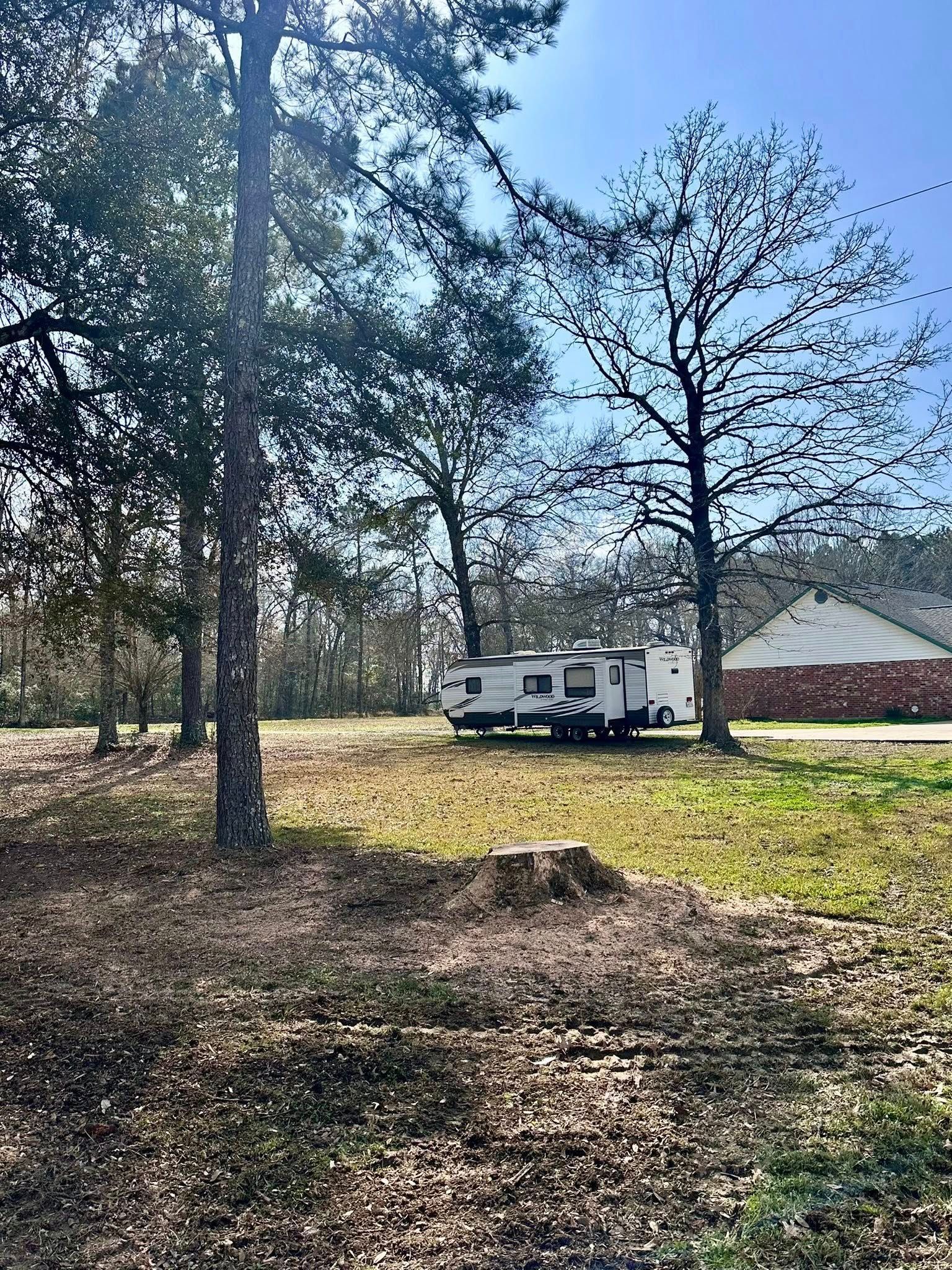 RVs parked in a wooded campsite with trees and open ground