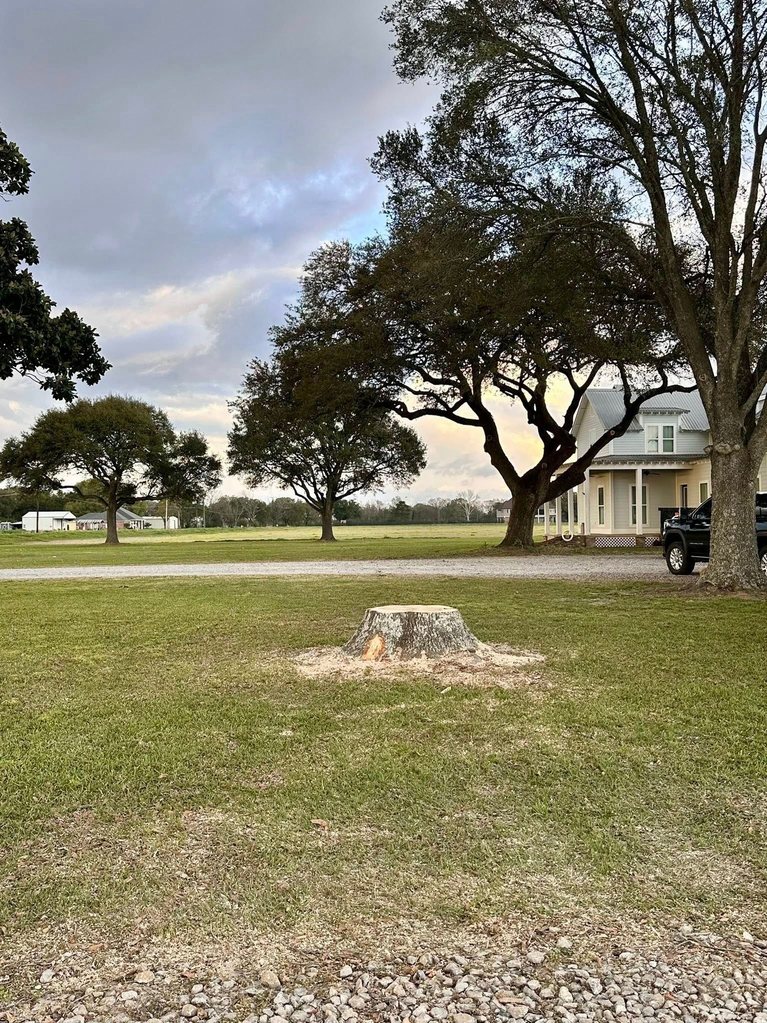 Grassy park with large trees, a small white building, and a stone marker under a cloudy sky.