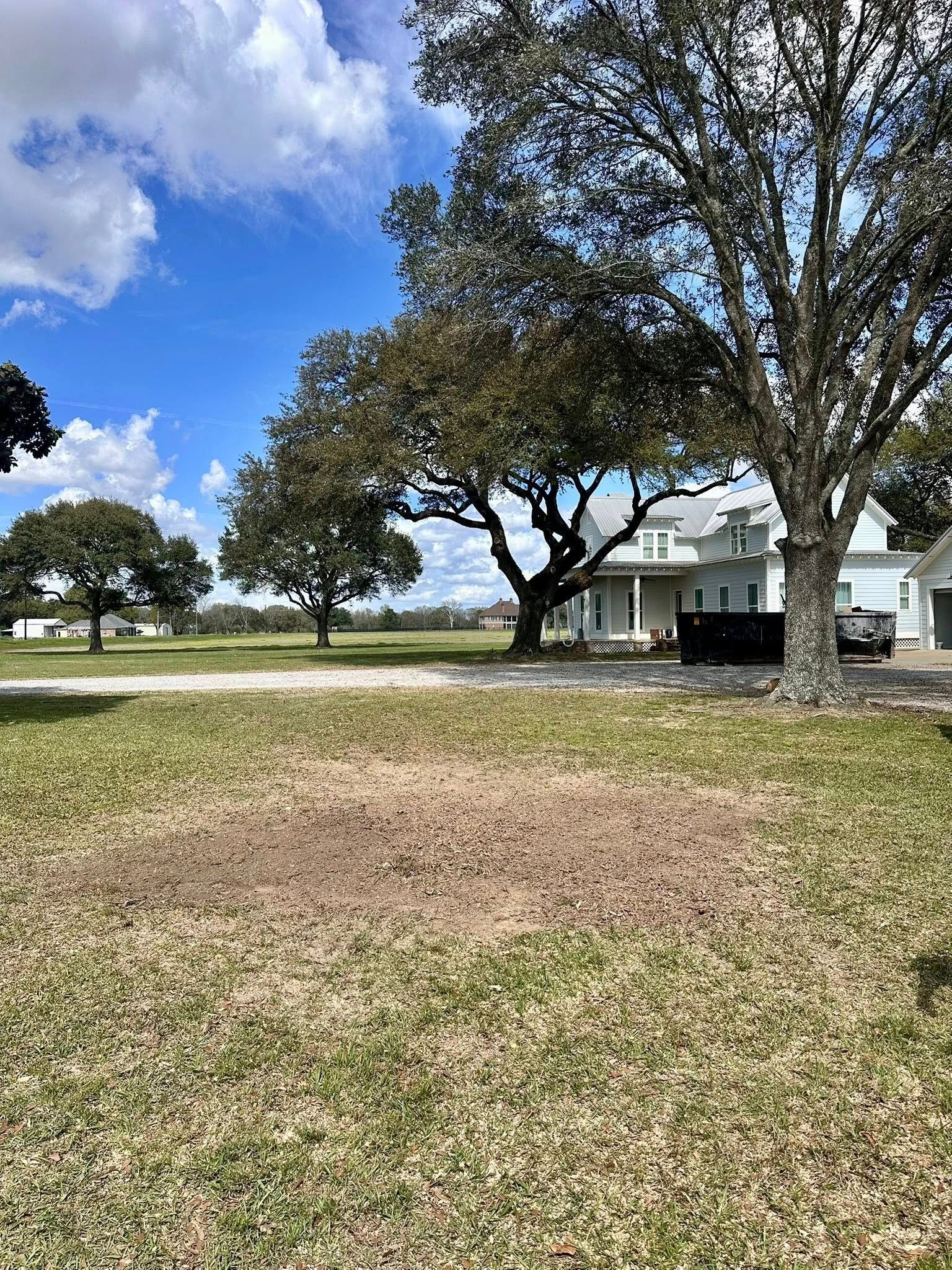 Grassy yard with large oak trees and a white house under a partly cloudy blue sky.