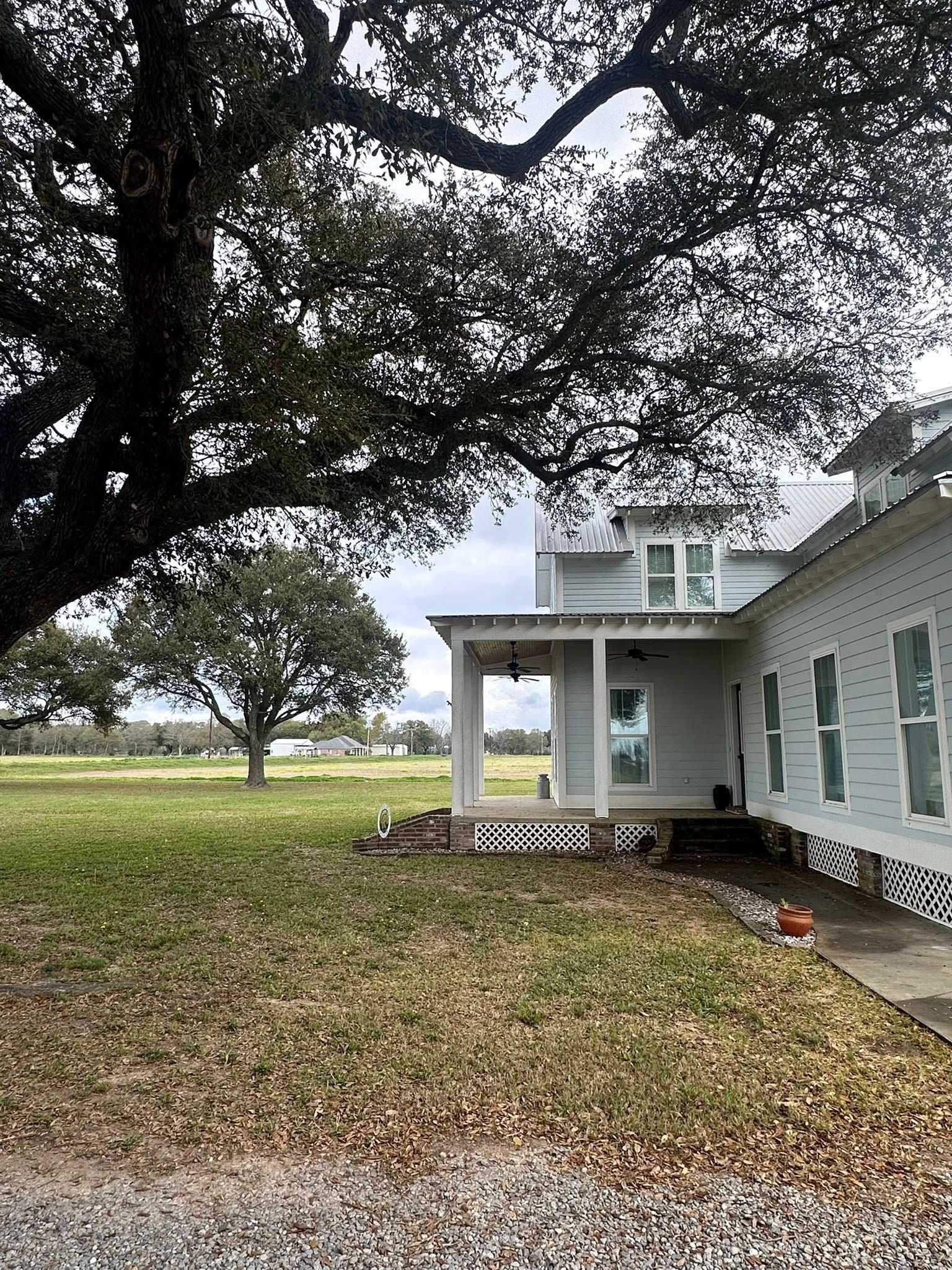 Large tree shading a white house with a porch beside an open grassy field and fallen leaves
