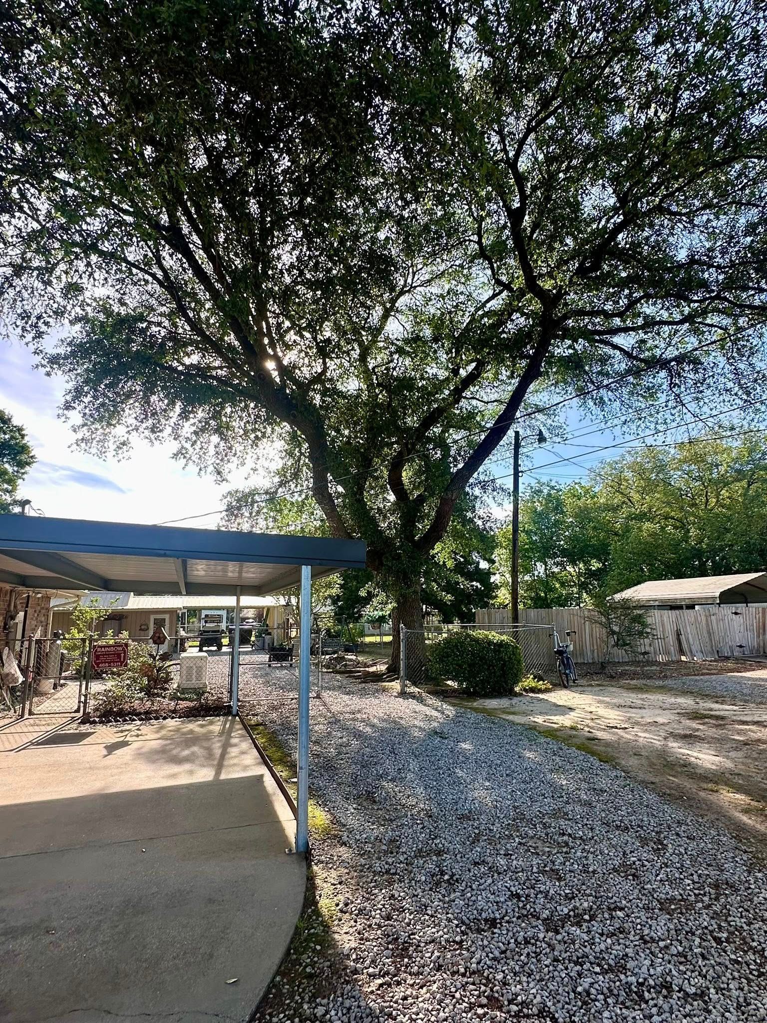 Shaded outdoor patio with a large tree, gravel path, and covered seating area under a blue sky