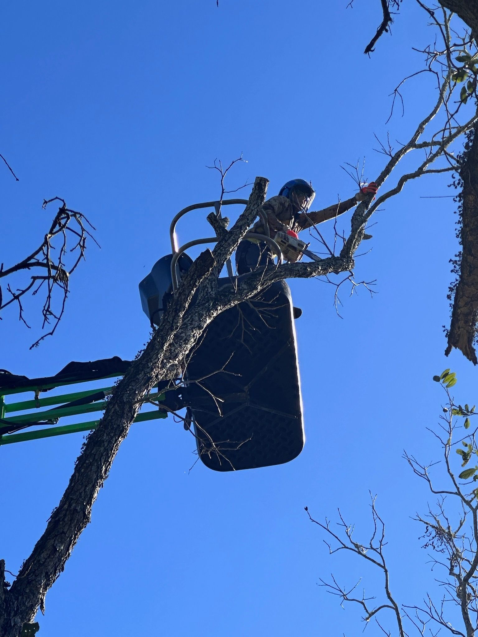Worker in a bucket lift trimming tree branches against a bright blue sky