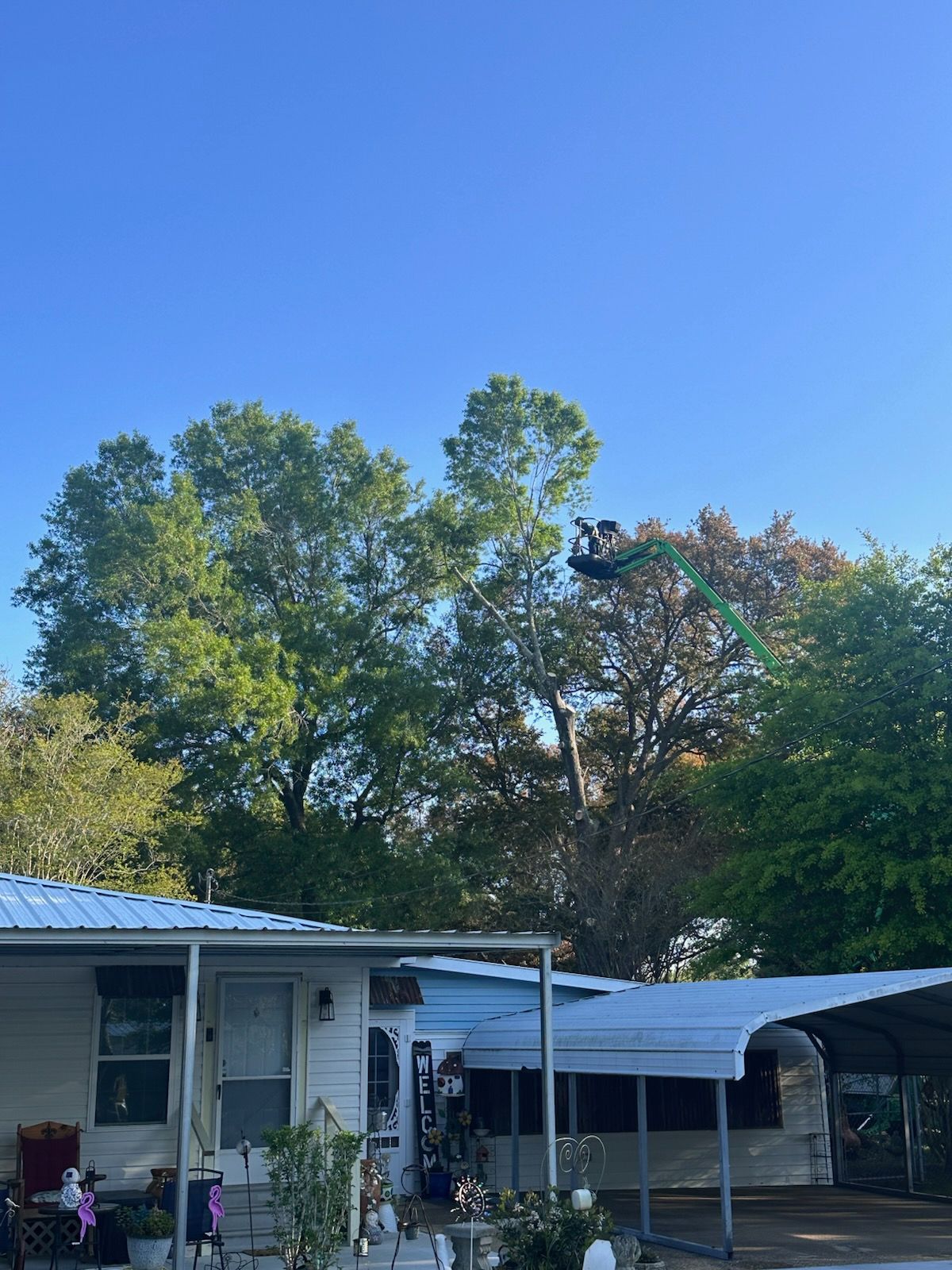 Small white house with a metal roof and carport under tall green trees on a sunny day