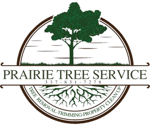 Prairie Tree Service logo with green tree, brown arch, and text for tree removal, trimming, and property cleanup