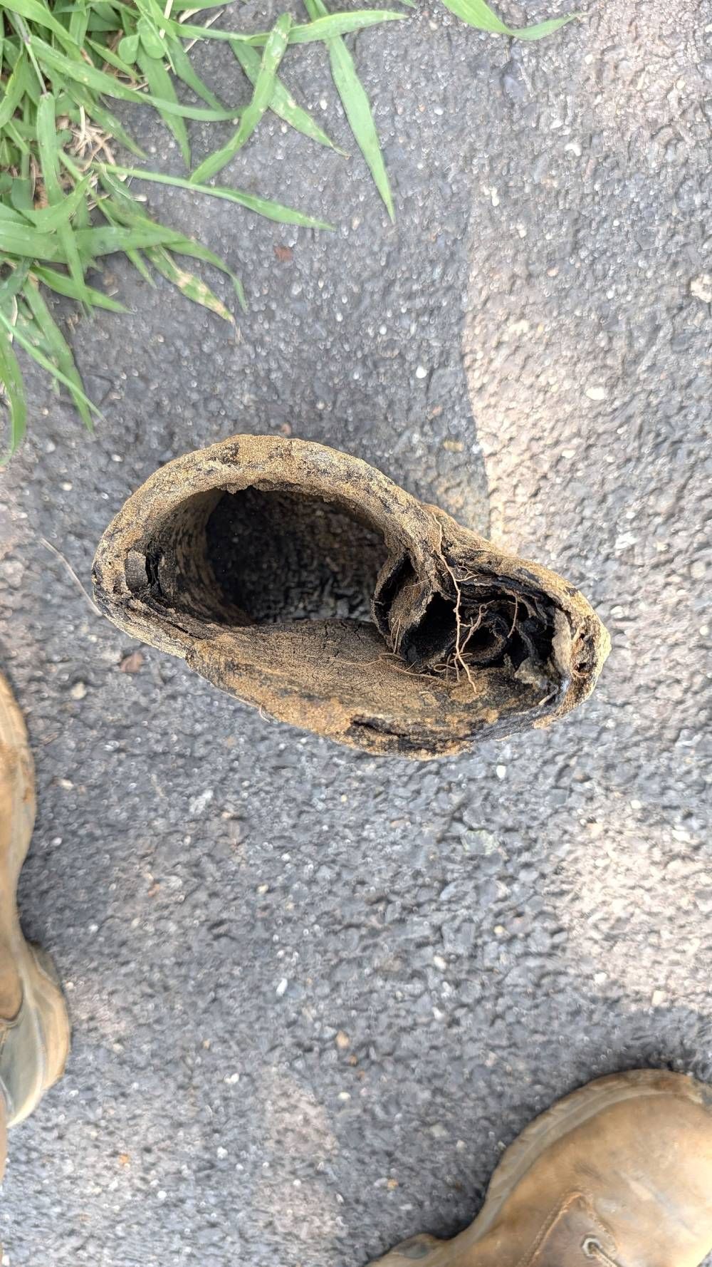 Sewer line replacement and repair in Burlington County NJ