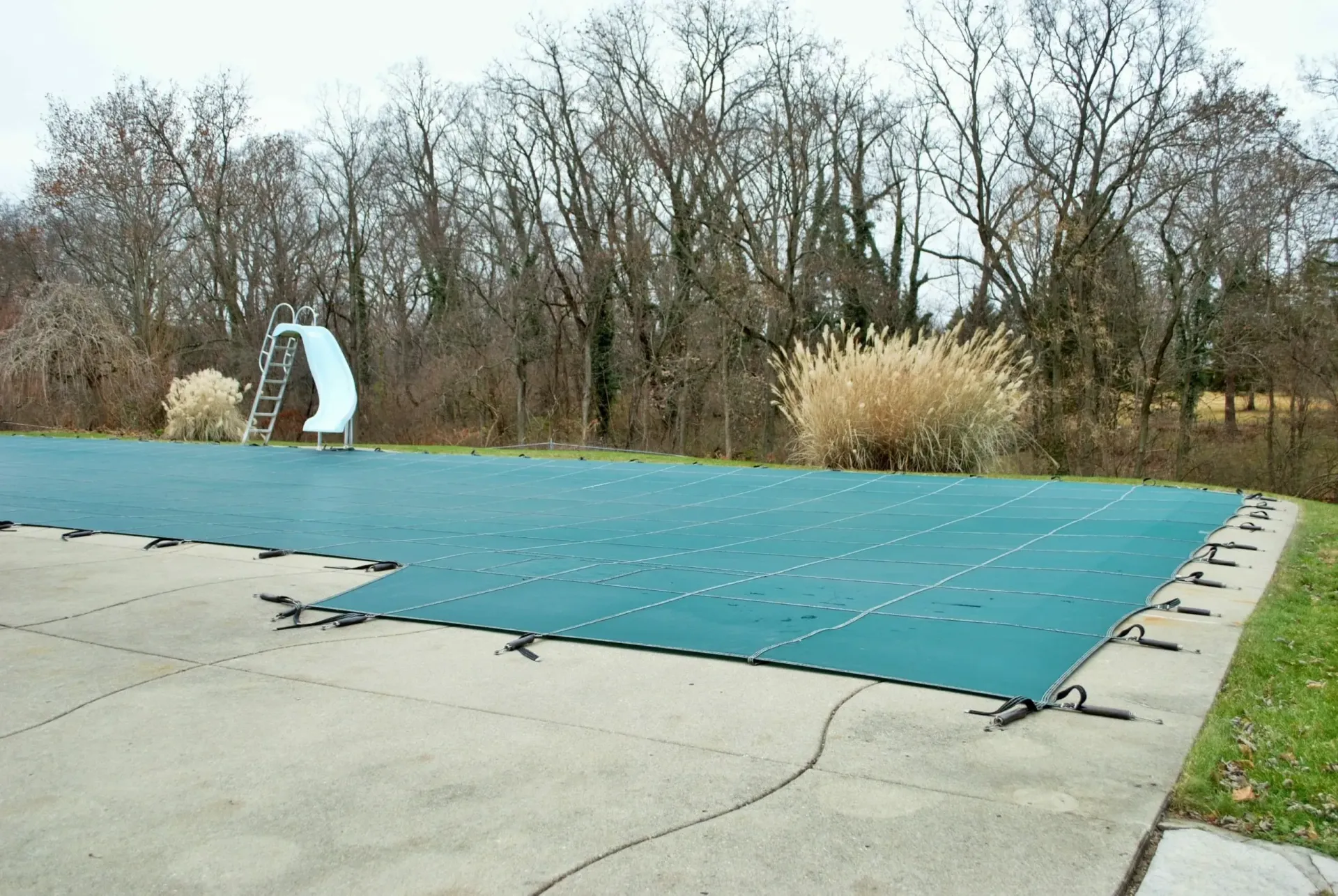 pool safetry cover