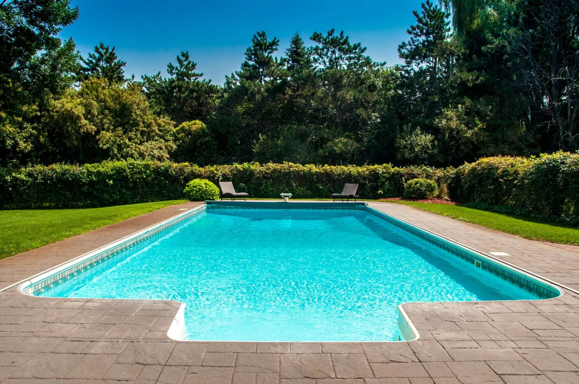 A large swimming pool surrounded by trees and bushes