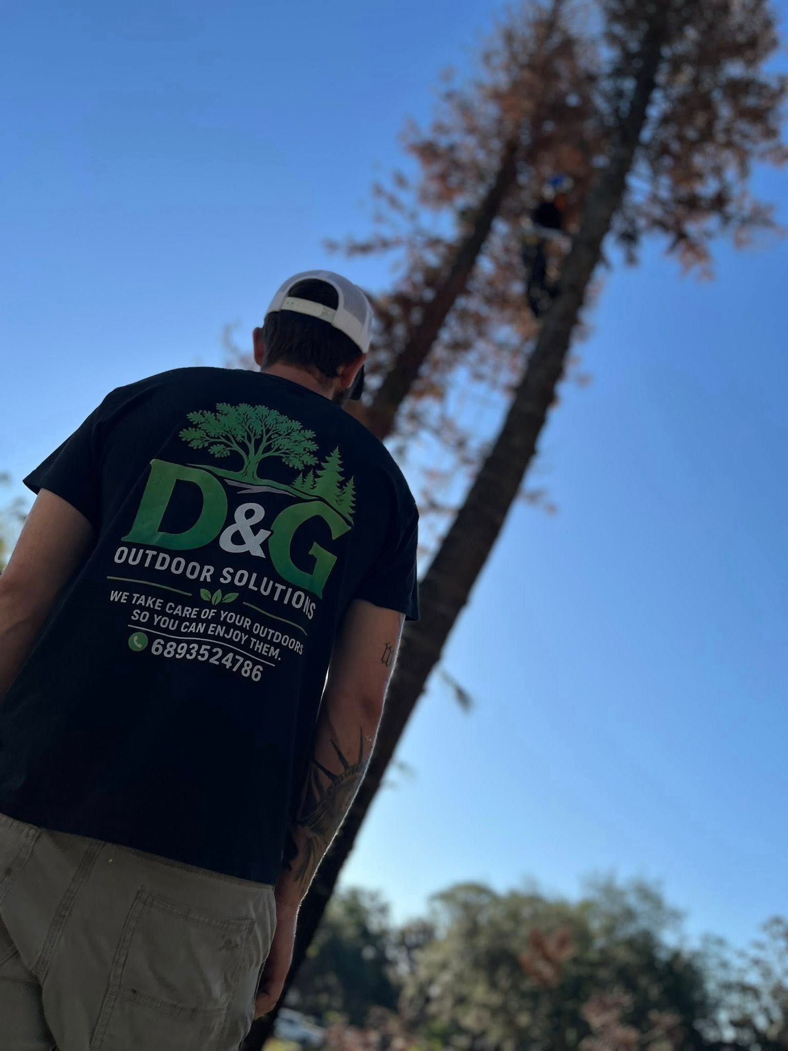 Person seen from behind wearing a black logo T-shirt and cap, outdoors under a blue sky and tall trees.