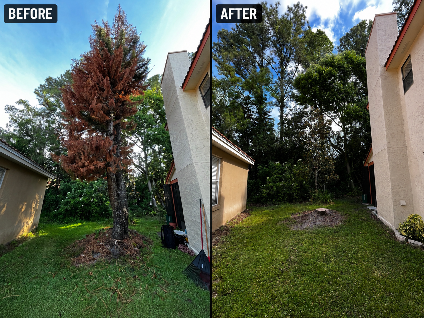 Before-and-after yard photo: tree trimmed and grass cleared beside a house.