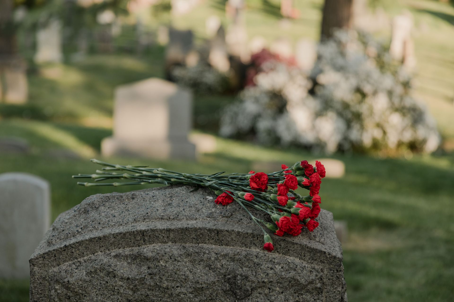 Green Burial Options