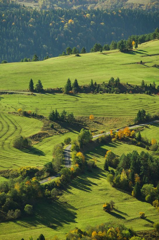 A scenic view of mountain pastures