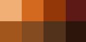 A color palette of eight shades of orange and brown.