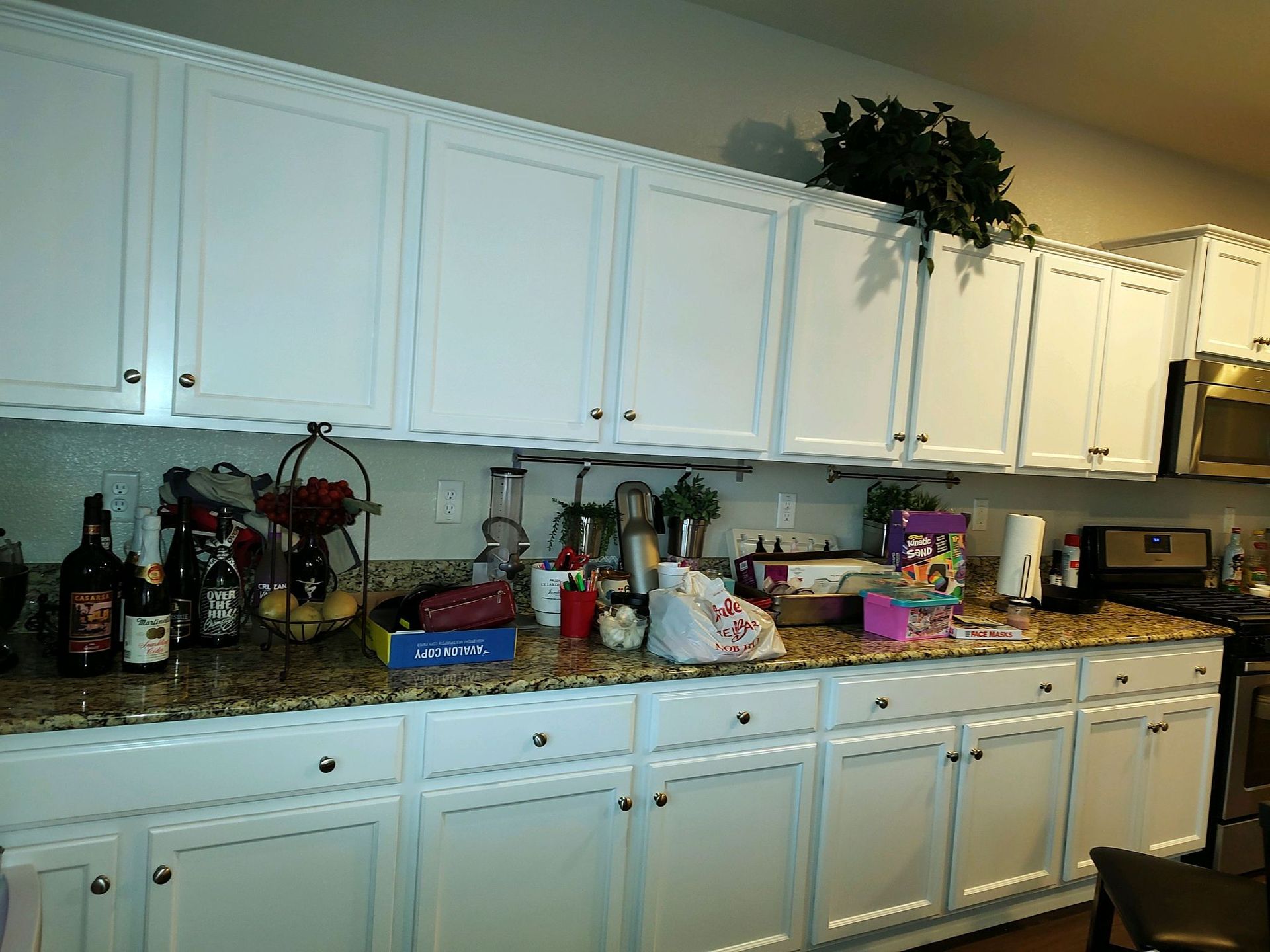 White kitchen cabinets and cluttered granite countertop with bottles, boxes, and small appliances under a potted plant