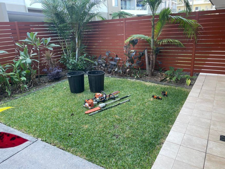 A Lawn With a Wooden Fence and a Few Tools on It — Greener Gardens Gardening Service In Thrumster, NSW