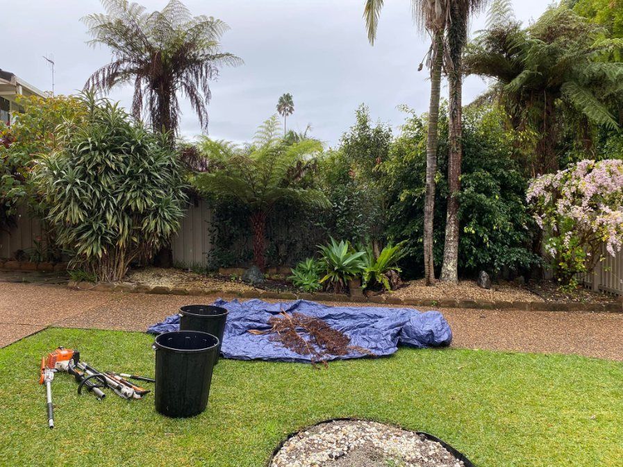 A Backyard With a Blue Tarp and Buckets on the Grass — Greener Gardens Gardening Service In Thrumster, NSW