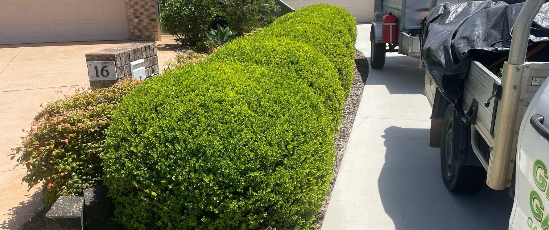 A row of bushes along a sidewalk next to a house. — Greener Gardens Gardening Service In Thrumster, NSW