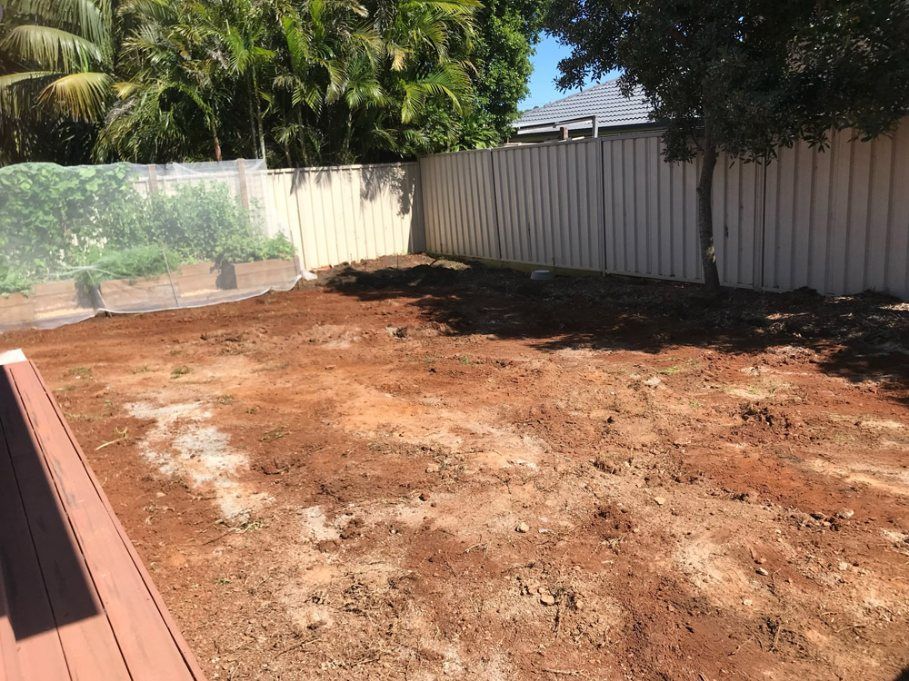 A backyard with a wooden deck and a white fence. — Greener Gardens Gardening Service In Thrumster, NSW