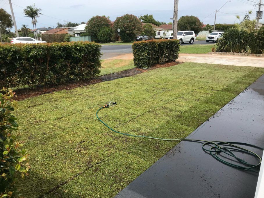 A Hose is Sitting on the Sidewalk in Front of a Lush Green Lawn — Greener Gardens Gardening Service In Thrumster, NSW