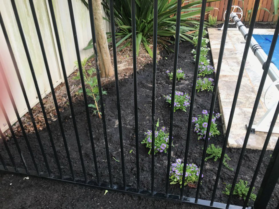 A Black Metal Fence Surrounds a Garden With Purple Flowers — Greener Gardens Gardening Service In Thrumster, NSW