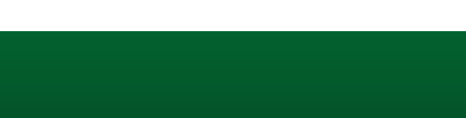 A horizontal bar consisting of a thin white band over a thick, dark green rectangular block.