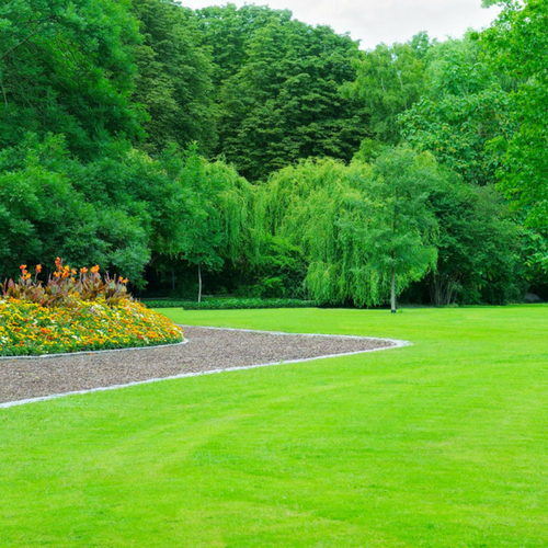 A vibrant green lawn featuring a curved garden bed filled with colorful flowers against a backdrop of lush, dense trees.