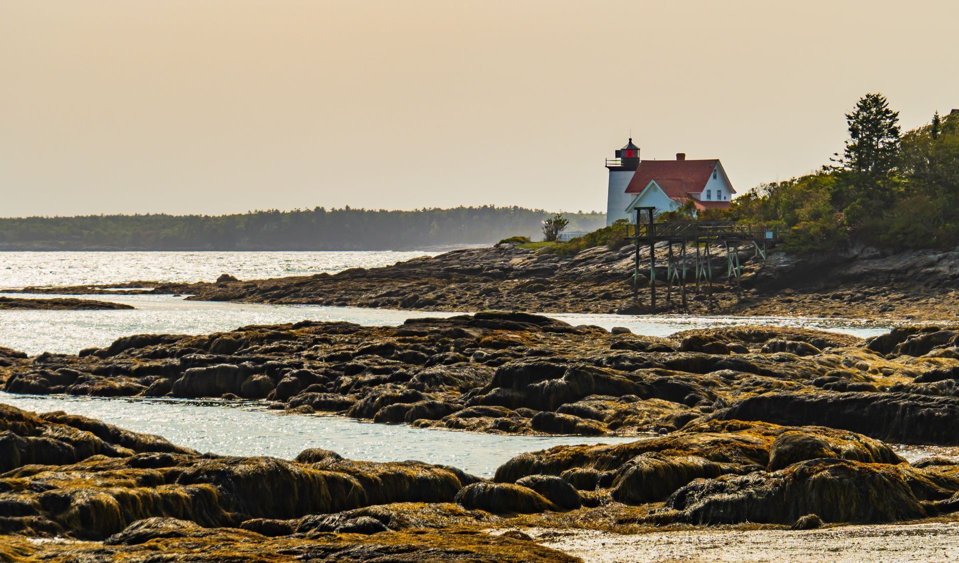 Hendricks Head Light